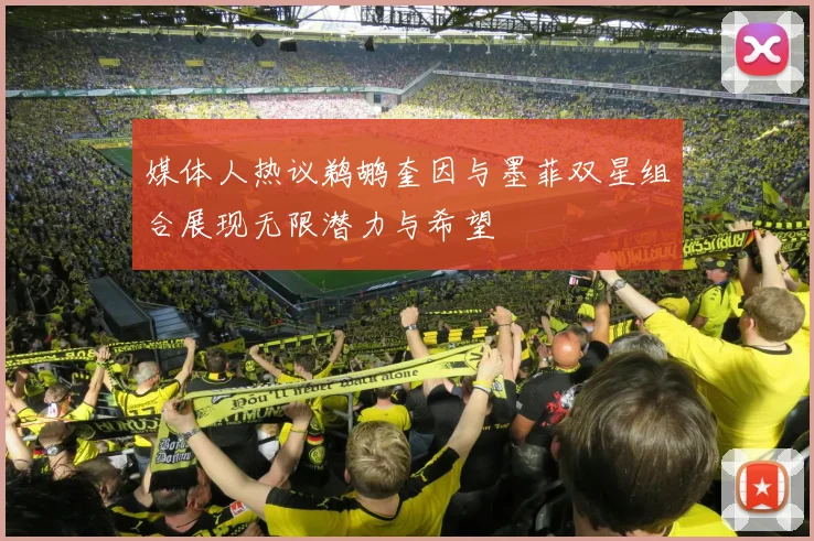媒体人热议鹈鹕奎因与墨菲双星组合展现无限潜力与希望