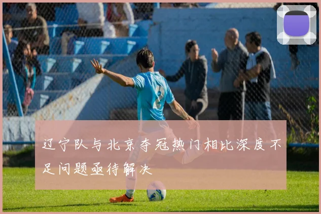 辽宁队与北京夺冠热门相比深度不足问题亟待解决