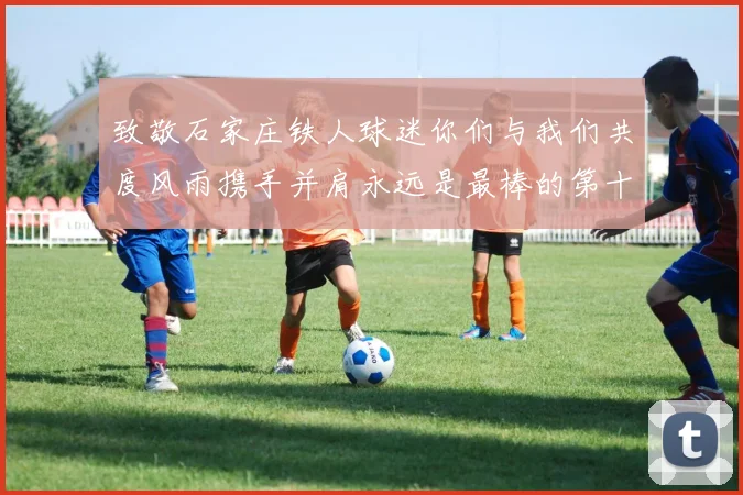 致敬石家庄铁人球迷你们与我们共度风雨携手并肩永远是最棒的第十二人