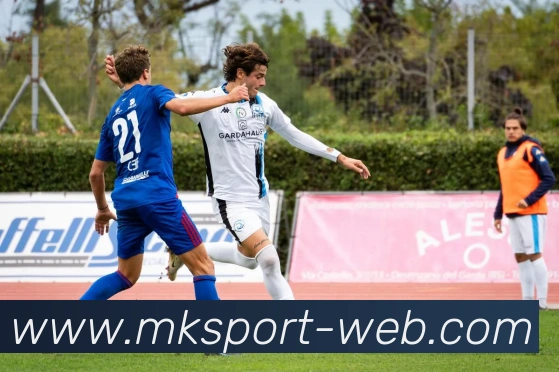 MK体育平台生态图