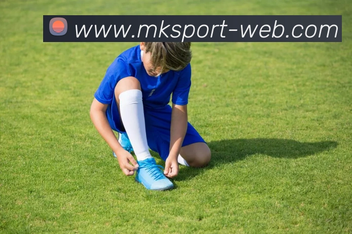 MK体育APP 封面图