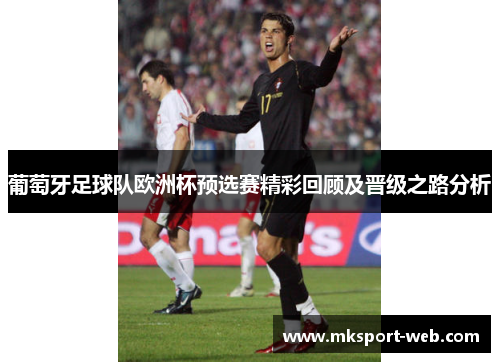 葡萄牙足球队欧洲杯预选赛精彩回顾及晋级之路分析